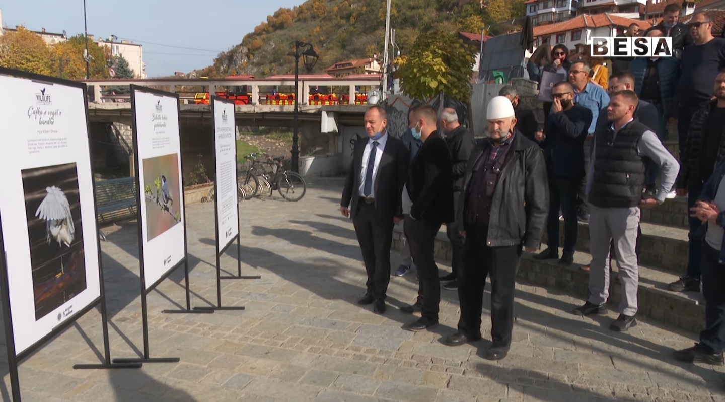 Organizata “WILDLIFE”  Albanian, ka hapur ekspozitën e dytë me radhë në Prizren me fotografi nga shpezët shtegtar dhe bota e egër