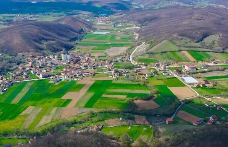 Drenicasi vret gruan me armë zjarri, arrestohet nga Policia