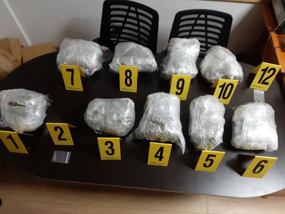Policia jep detaje nga rasti ku u kapen 10 kg marihuanë në Prizren