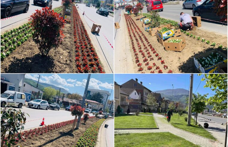 Komuna e Prizrenit me aktivitete për mbjelljen e luleve dhe pastrimin e parqeve 🌷