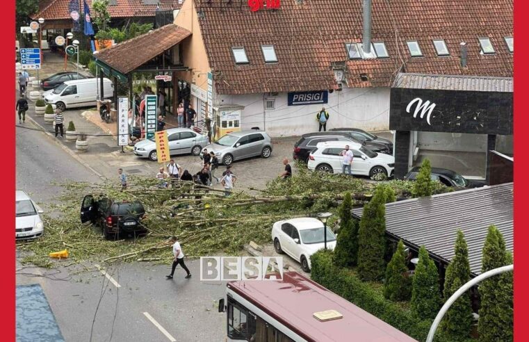 Tragjike: Humb jetën 30-vjeçari që e zuri pema në Prishtinë