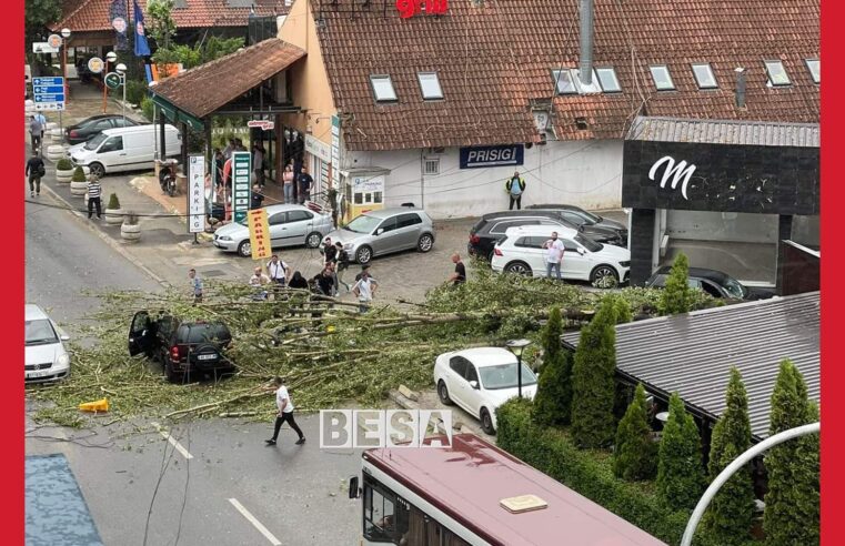 35 vjeçarja e cila ishte lënduar gjatë ditës së djeshme nga rrëzimi i lisit në lagjen “Pejton” në Prishtinë, është dërguar për shërim jashtë vendit