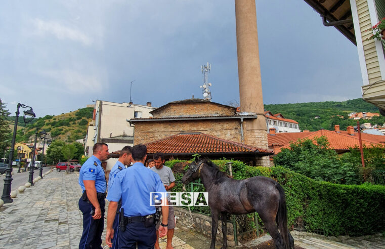 Policia ja dorëzon pronarit kalin e humbur pas lajmërimit në Rtv Besa