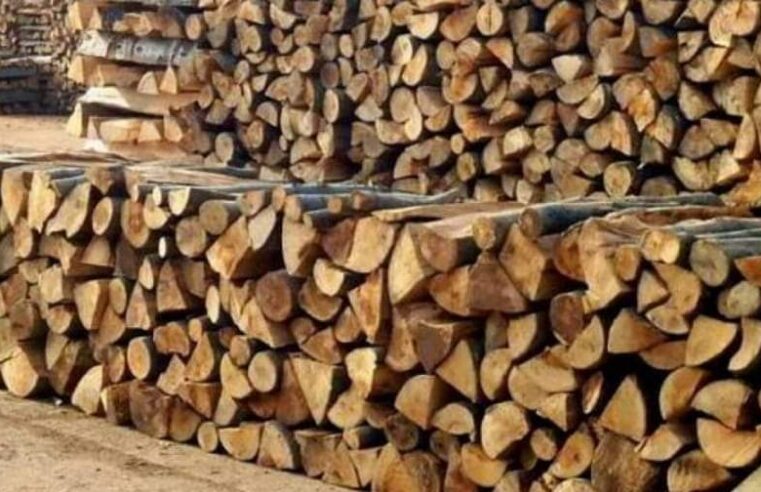 Shkon në 80 euro metra e druve, shitësit paralajmërojnë çmime më të larta në vjeshtë