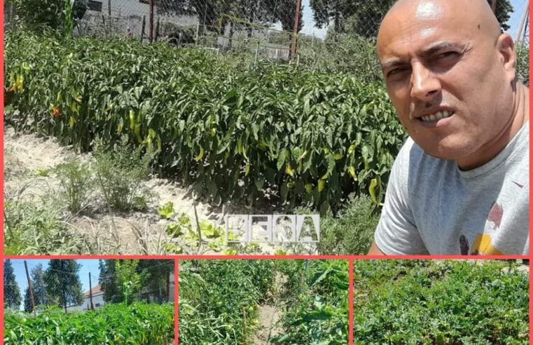 I dënuari me burgim të përjetshëm në grupin “Kumanova” shfaq të mbjellat brenda burgut