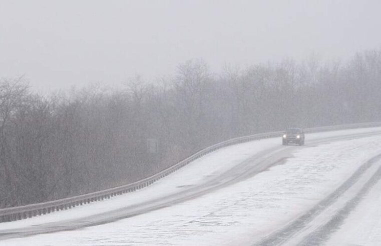 Borë në Slloveni, temperaturat bien deri në -4 gradë