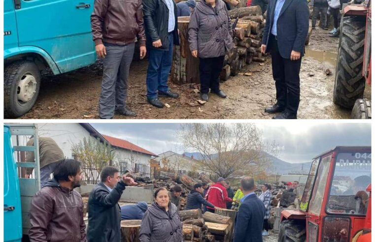 Komuna e Prizrenit bën shprëndarjen e druve për kategoritë sociale