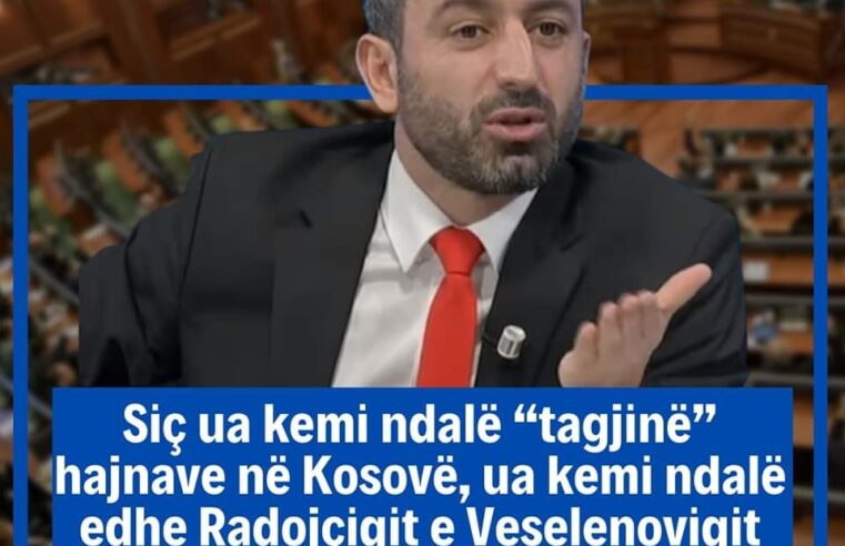 Basha: Siç ua kemi ndalë “tagjinë” hajnave në Kosovë, ua kemi ndalë edhe Radojçiqit e Veselenoviqit