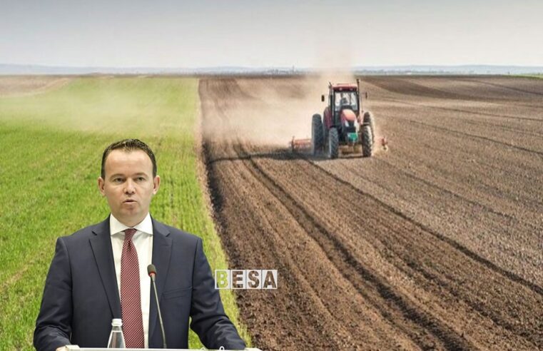 Peci: Kosova do t’i përmbush 80% të nevojave me grurë këtë vit