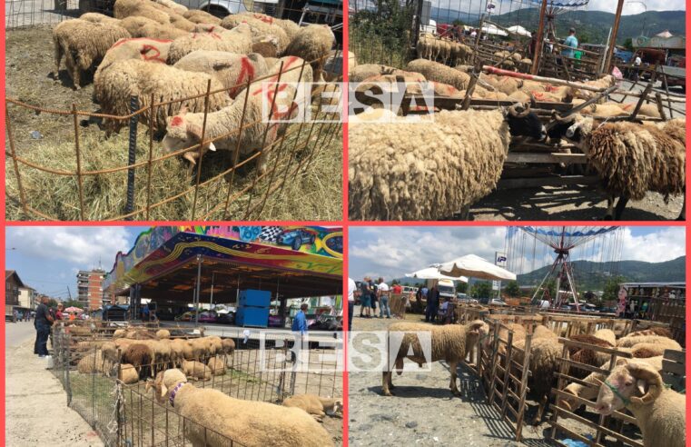 Filluan shitjet e Kurbaneve me rastin e Festës së Bajramit në Bazhdarhane të Prizrenit 🐏
