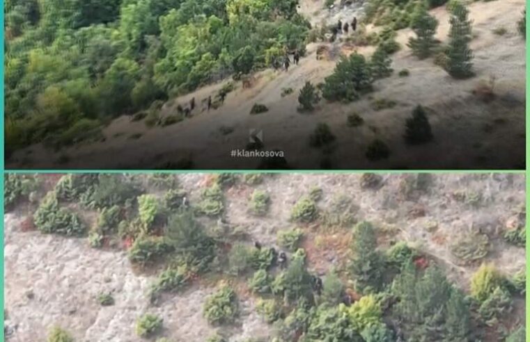 Momenti kur terroristët serbë ikin maleve nga Policia e Kosovës 