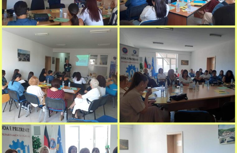 Oda e Prizrenit “Deparmenti i Gruas” në bashkëpunim me OZ të Koblenzit-Gjermani mban seminar në Prizren