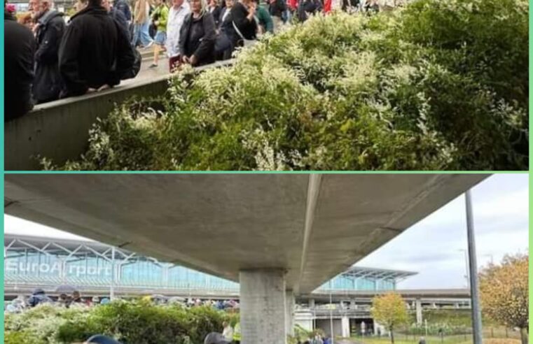 Lajmi fundit: Ndezët alarmi për bombë, evakuohet aeroporti i Bazelit në Zvicër