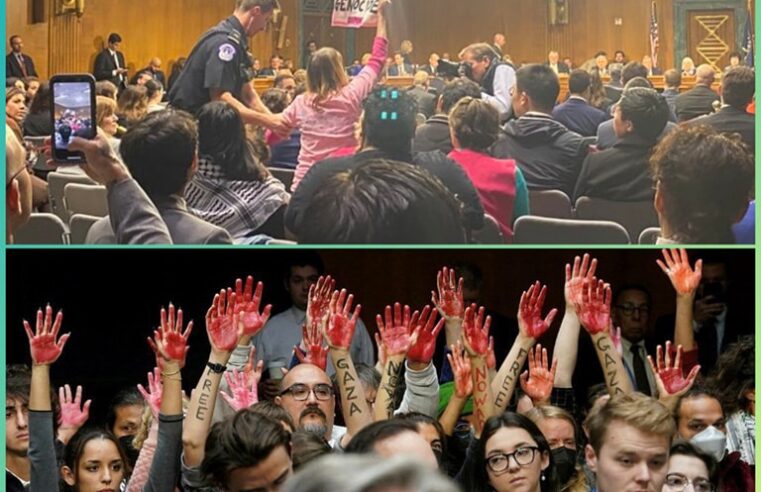 Blinkenit i ndërpritet fjalimi nga demonstruesit amerikanë që kërkonin armëpushim në Gaza🇺🇸