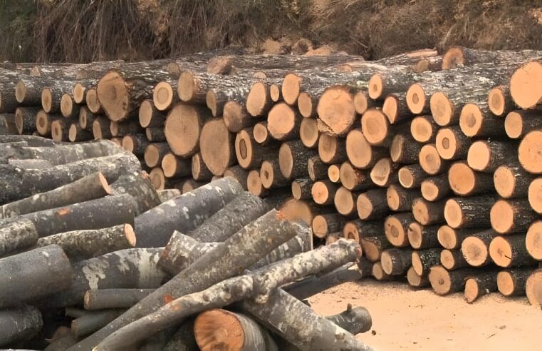 Ankohen qytetarët: Çmimet e druve tejet më të larta se vitet e kaluara