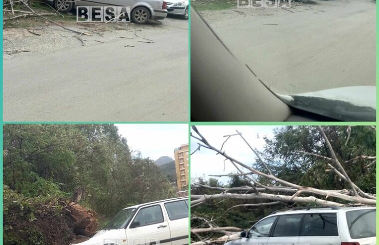 🔴 Erërat e forta rrëzojnë disa lisa në Prizren, dëmtohen disa vetura në rrugën “Turgut Özal” prapa Etc-së