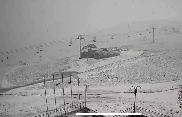 Zbardhet Brodi❄️🌨👇