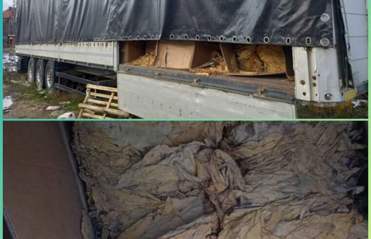 Konfiskohen mbi 2000 kg duhan në fshatin Uglarë të Zubin Potokut