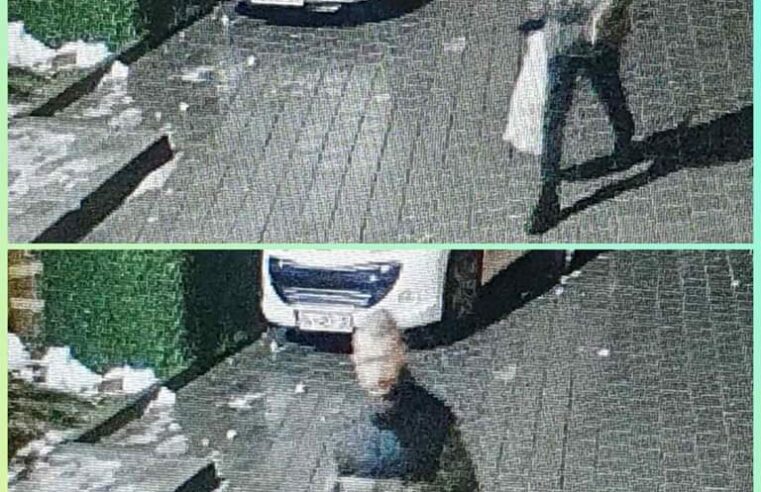 Personi në foto kërkohet nga policia për ngacmim seksual në Prizren