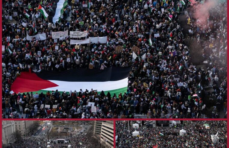 Mbi 400.000 persona protestojnë në Washington në përkrahje të Palestinës dhe ndaljes së vrasjeve në Gaza