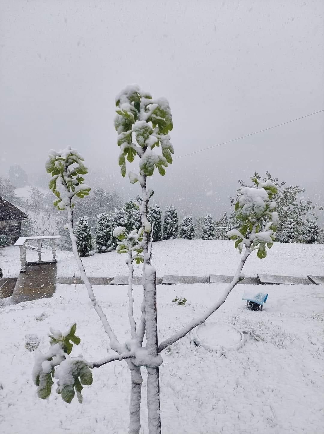 Dje ishte 30 gradë celsius, sot bie borë në Kroaci dhe Slloveni